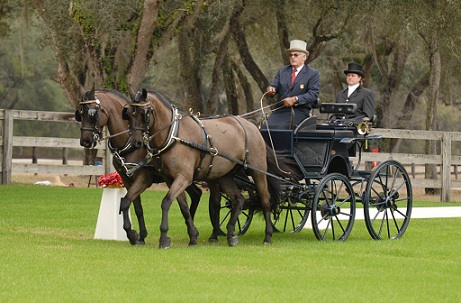 Black Prong Equestrian Center