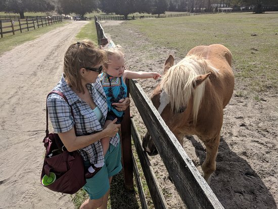 Mill Creek Farm