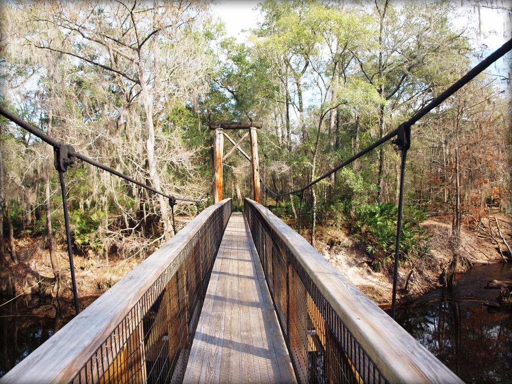 Alachua County