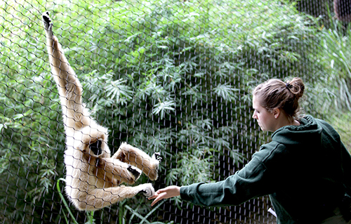 Sante Fe College Teaching Zoo