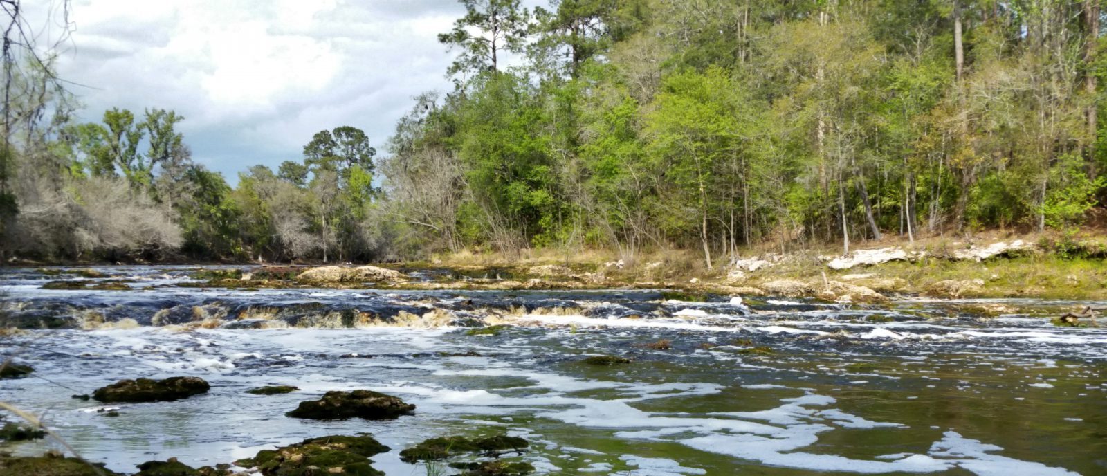 White Springs Florida’s Original Tourist Destination Visit Natural