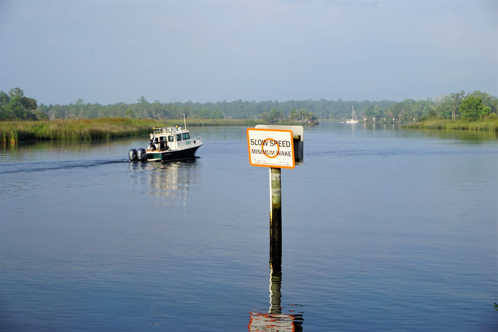 Morning on the St. Marks River. Credit: Nancy Moreland