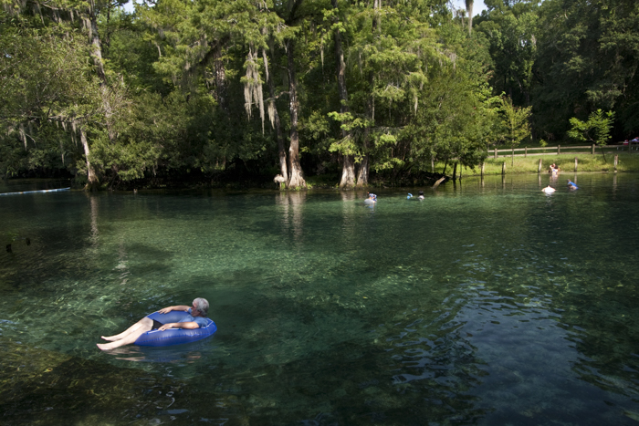 The Suwannee River and It's Tributaries--The Beating Heart of Natural North Florida