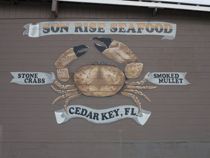 Cedar Key 2019 Seafood Festival, October 19 & 20 Visit Natural North