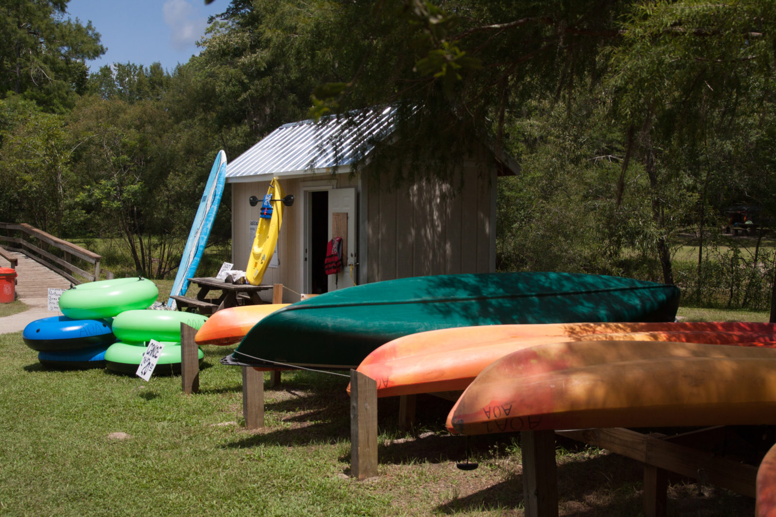 Take A Virtual Florida Vacation To Gilchrist County's SpringFed