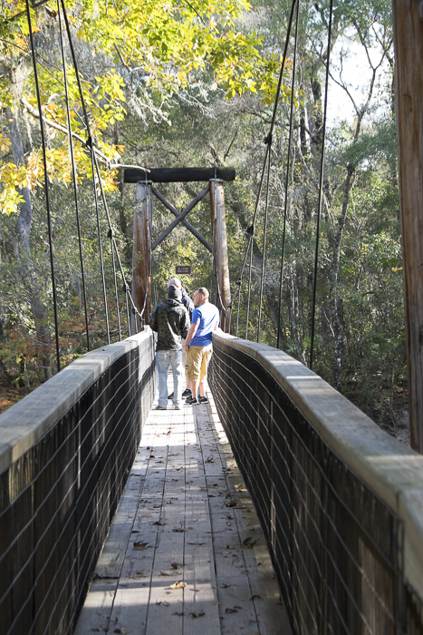 Spend The Night and Spread Your Wings From Lake City, Florida