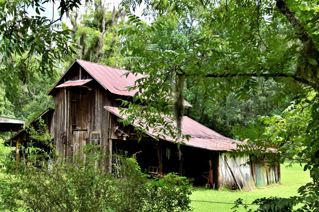 Picturesque old weatherd barn with red tin roof, glimpsed from walking trail