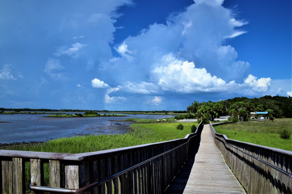 Long observation deck and walkway at Lower Suwannee National Wildlife Refuge 