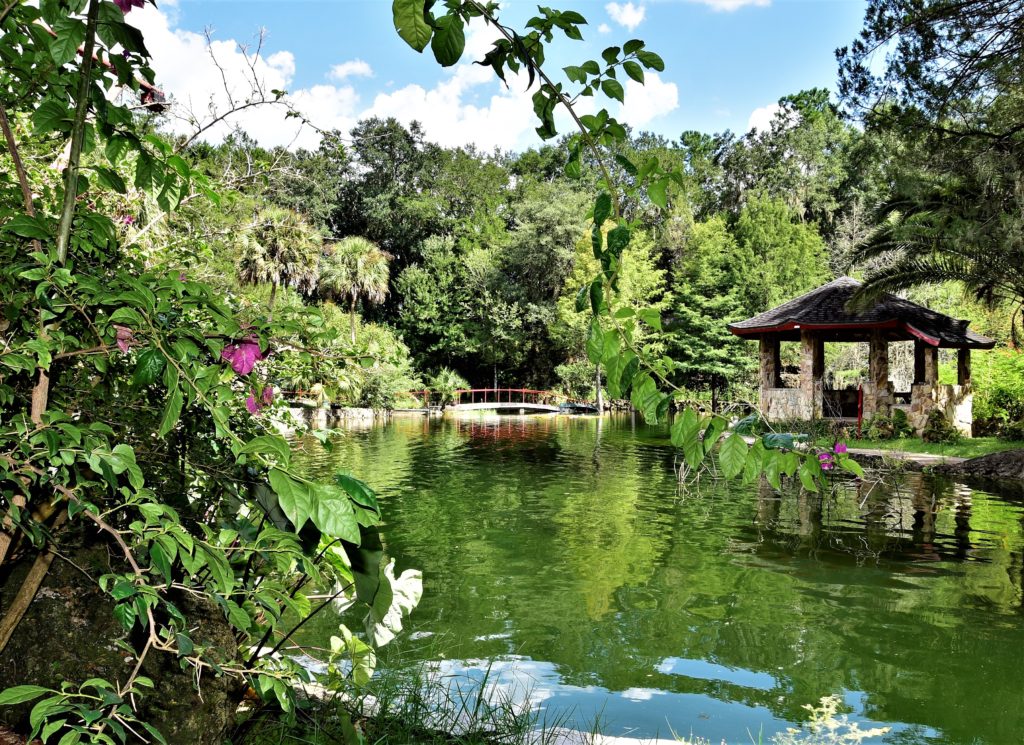 Lake in the limestone quarry, surrounded by green plants and magenta bouganvilla blooms. Red bridge in the background. Everything is reflecting in the water.