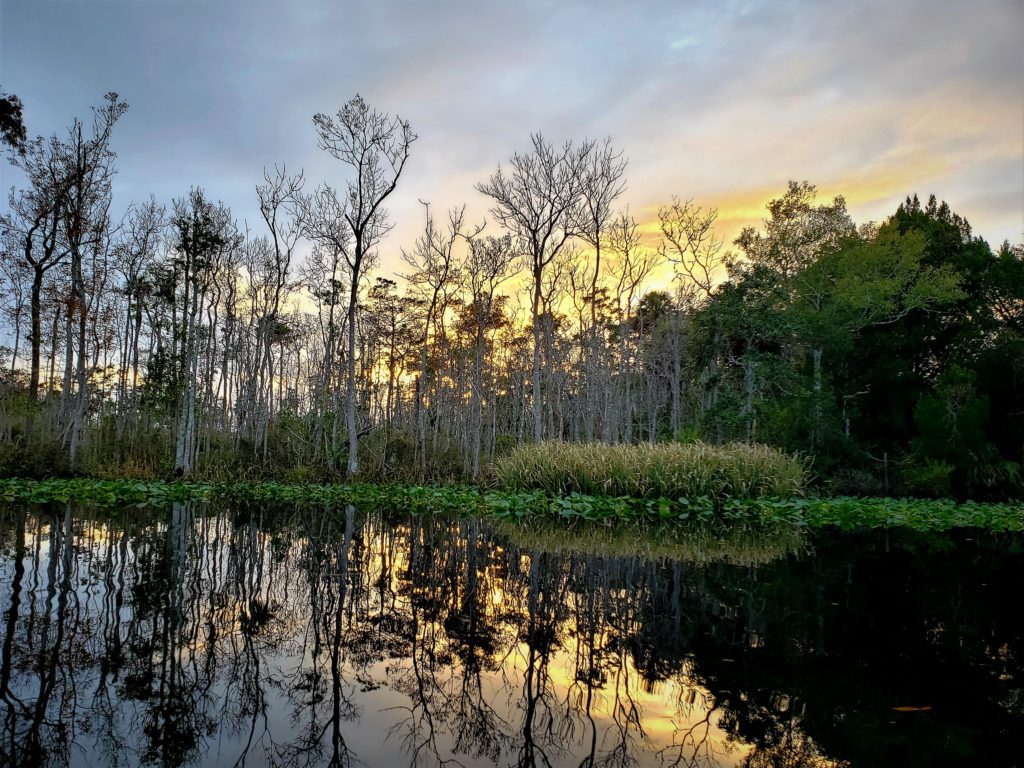 Sun setting over the Suwannee River with trees in the background, and reflecting in the water