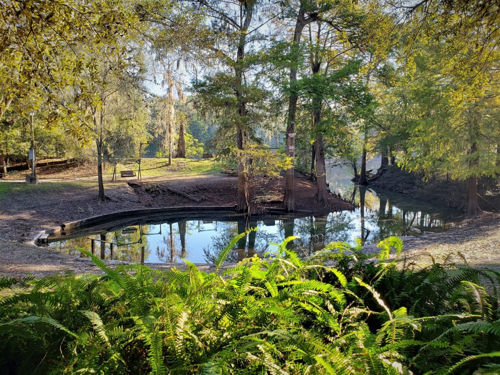 Clear water spring, with swing overlooking it