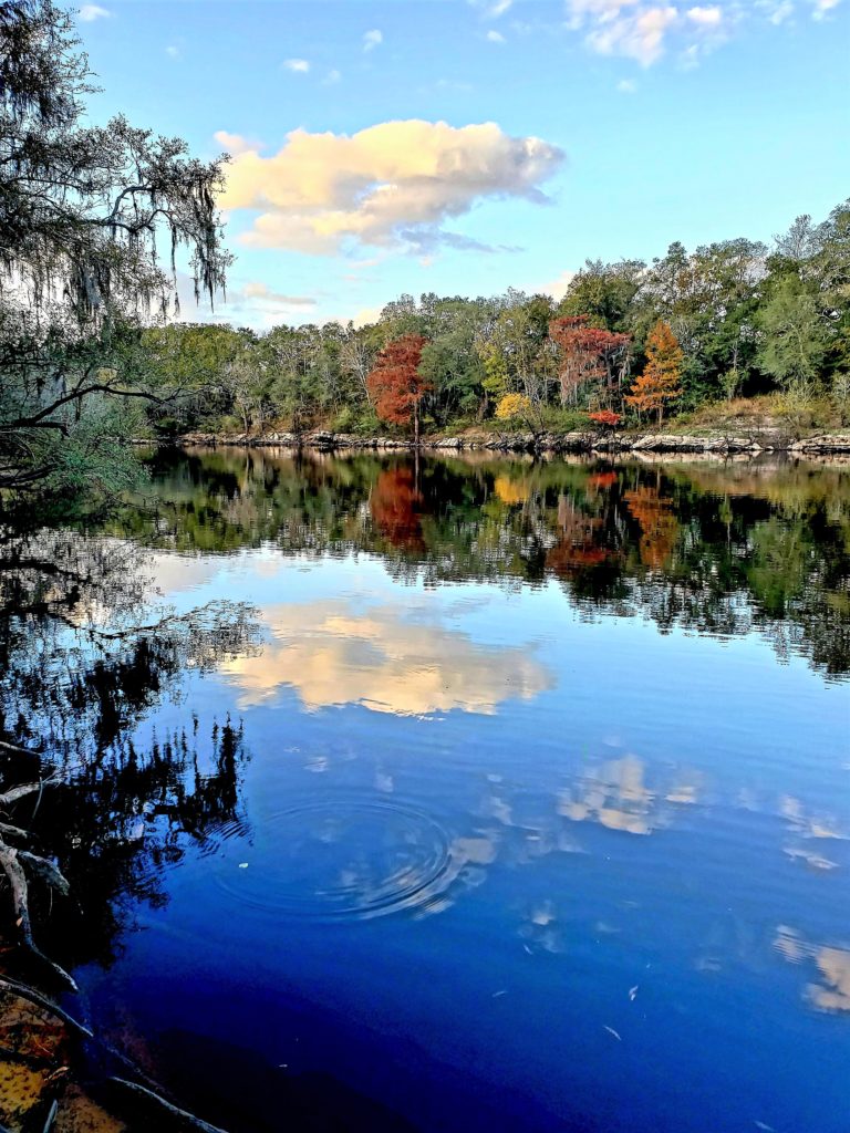 Red, yellow, orange, and green trees reflecting in the Suwannee's blue water 