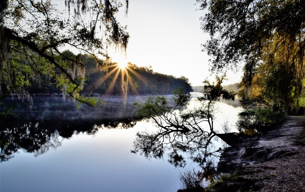 Sunrise starburst over the trees beside the Suwannee River 