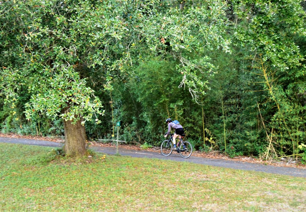 man riding bike on outdoors trail, surrounded by shade trees