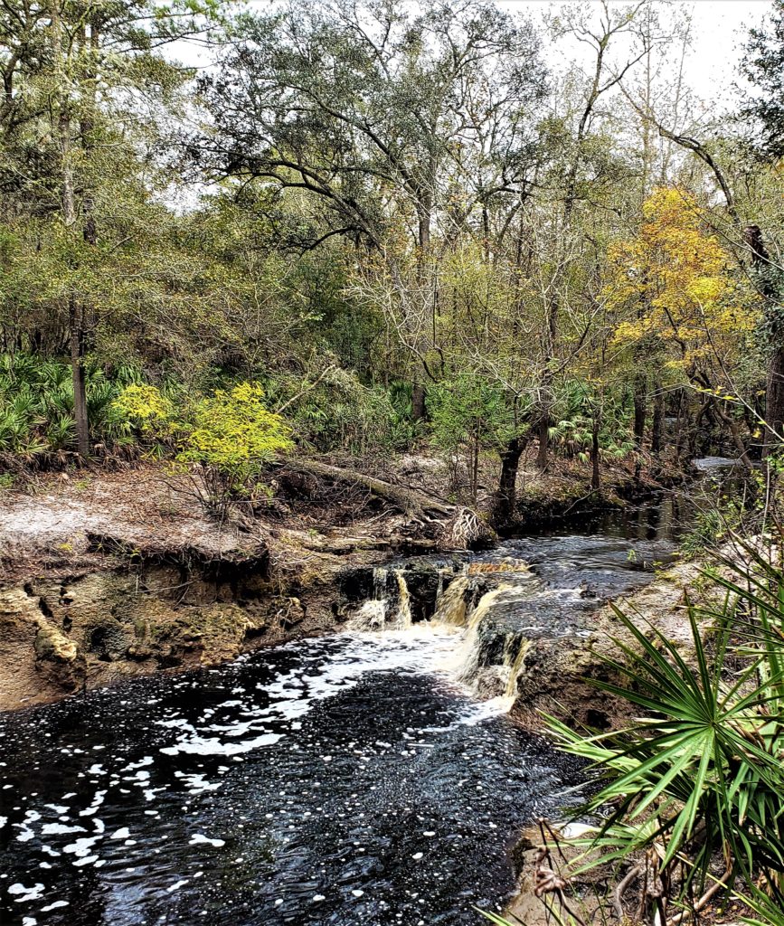 small waterfall on the Suwannee River in the woods is natural beauty