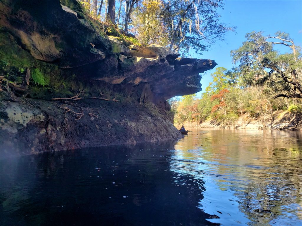 Limestone outcroppings along the Suwannee River look like shelves