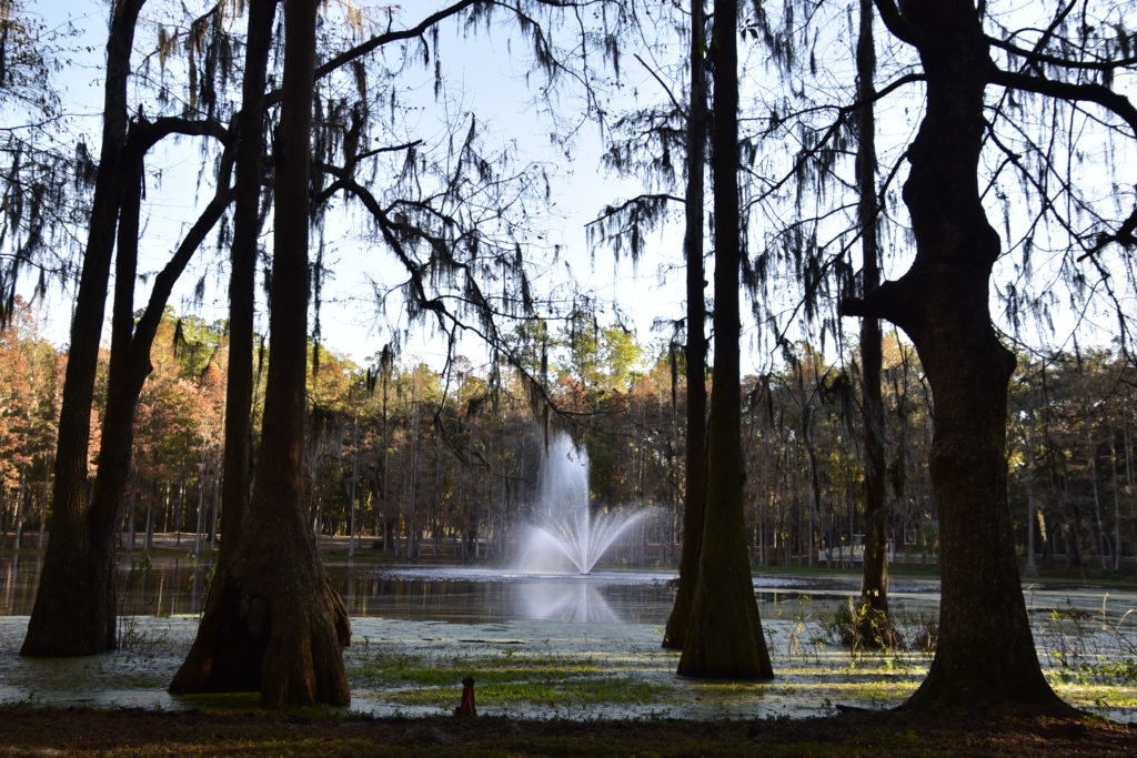 fountain in lake, surrounded by trees covered in moss