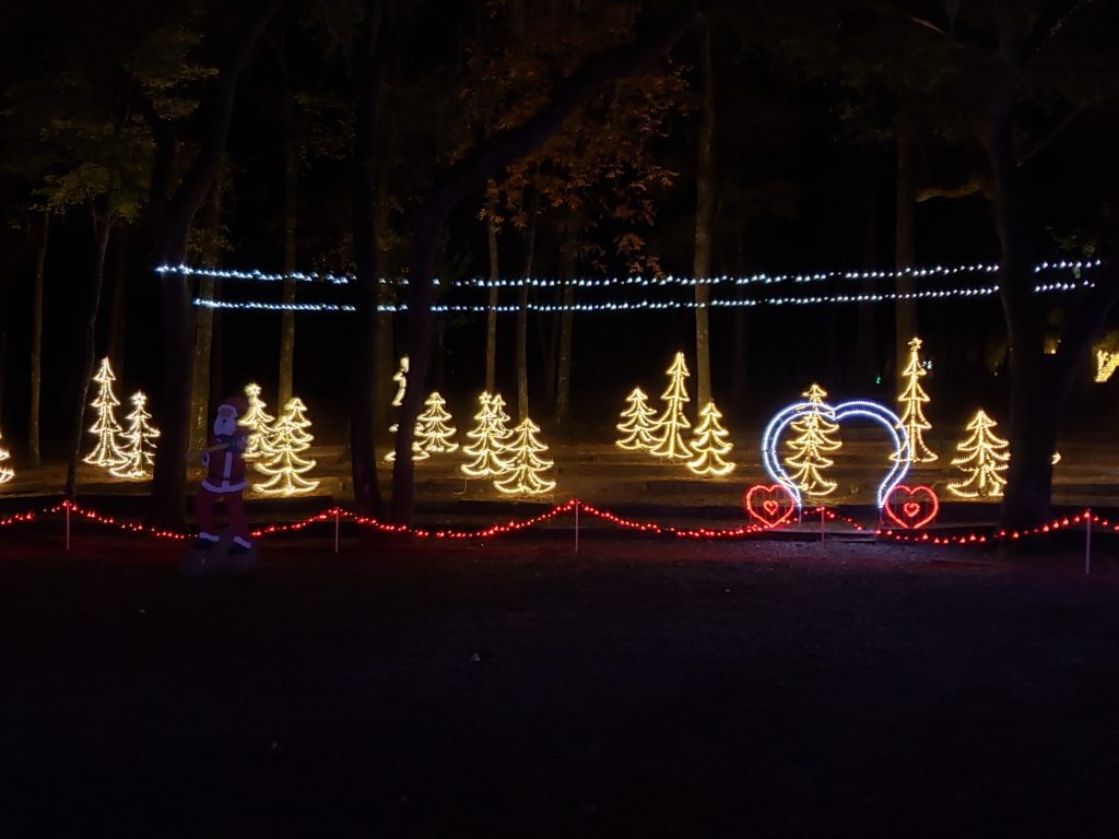 Lighted Christmas display, about f15 Christmas tree shapes.