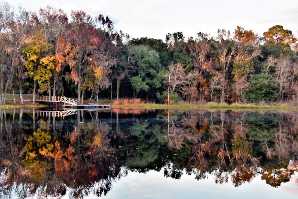 Beautiful reflections of fall trees on the lake 