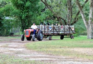 man driving red tractor, pulling a sided trailer full of happy kids