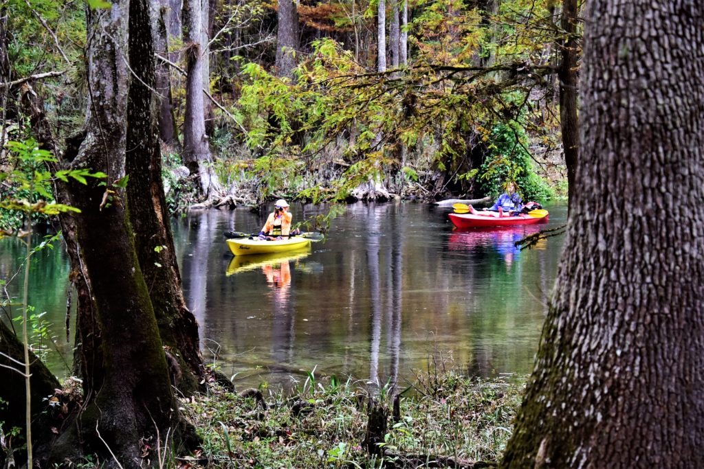 two kayakers on the river, seen between trees