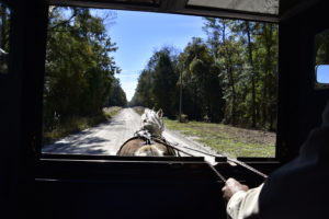 View from the inside of the buggy