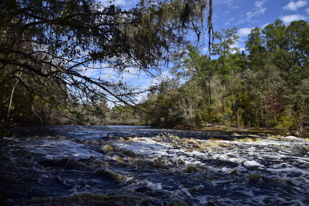 Rapids on a river surrounded by trees and sky