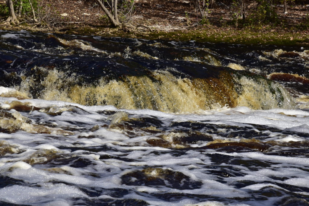 Shoals with about a 2 foot drop with water rushing over it