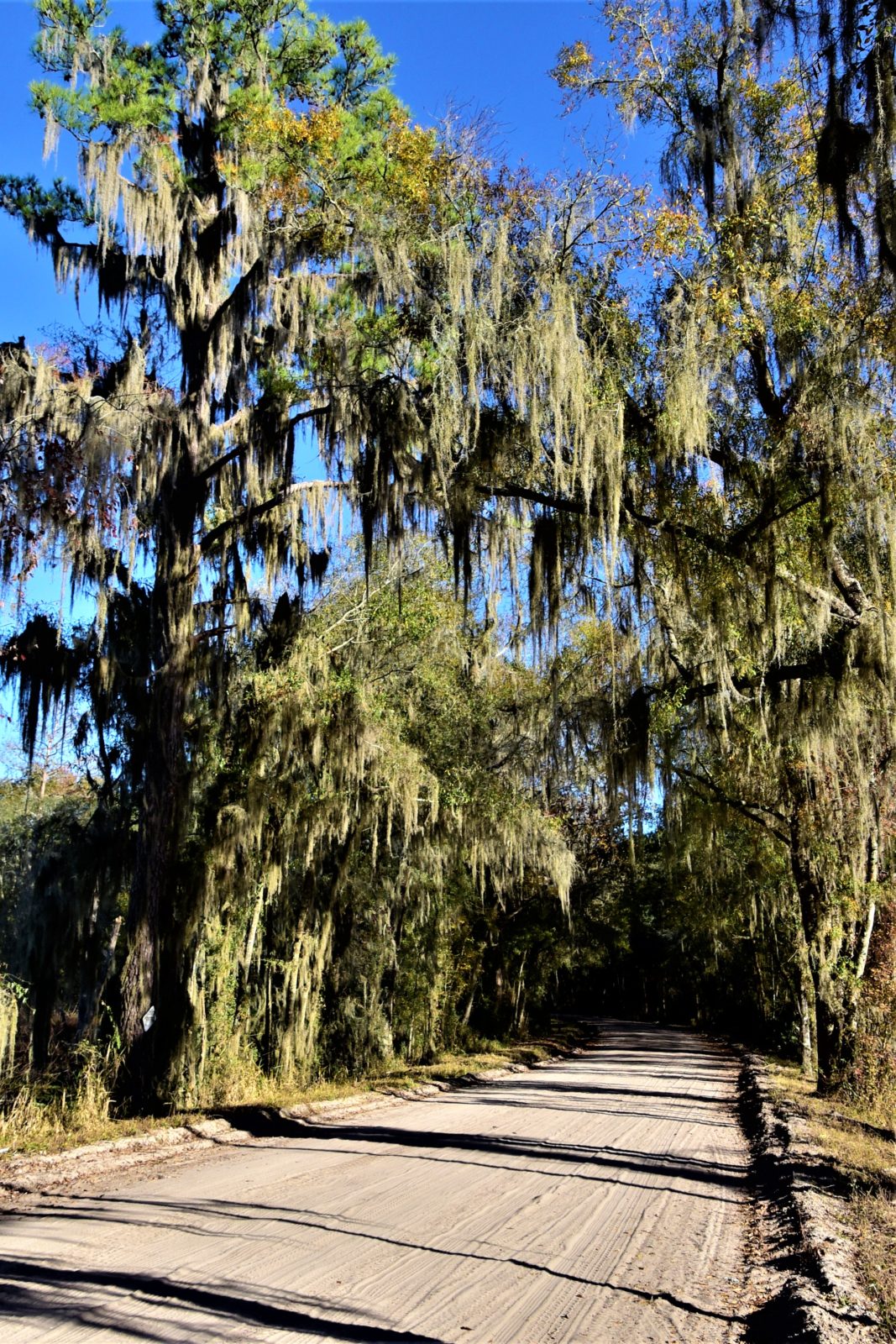 Undiscovered Florida 20 Best Things in Hamilton County Visit