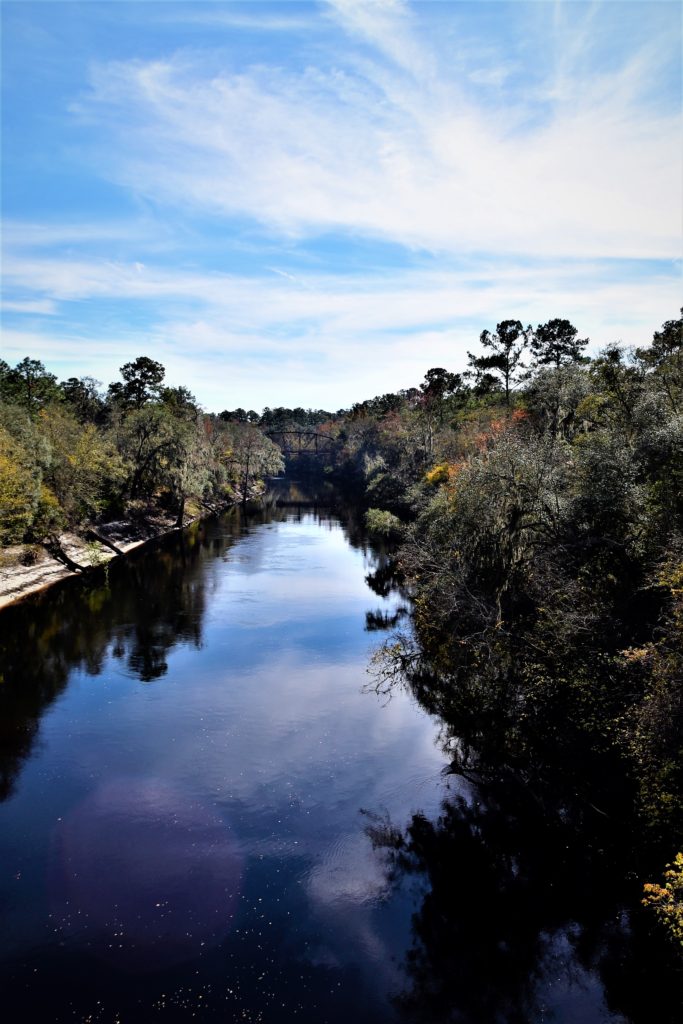 The Alapaha River long view with bridge barely visible in the distance