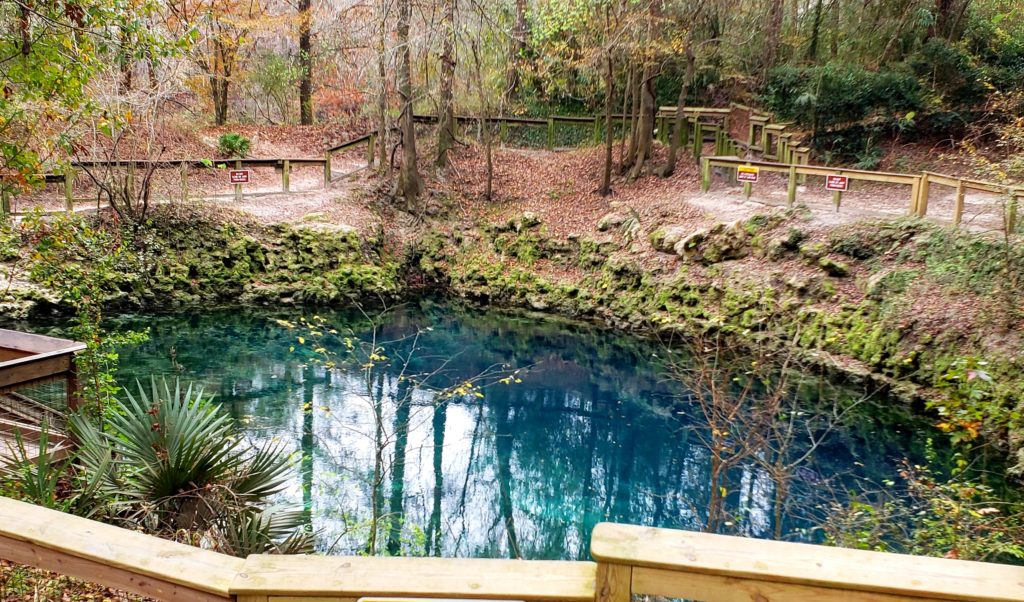 Blue spring, Withlacoochee River in the background