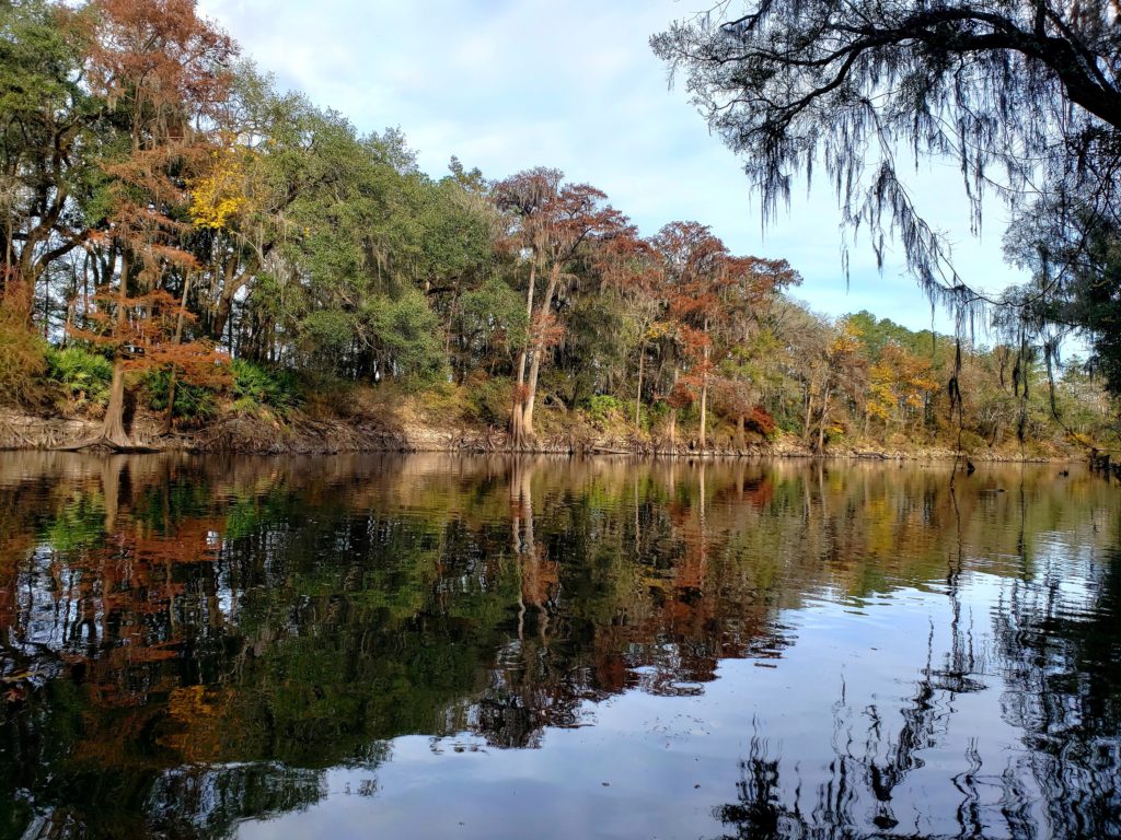 River with fall colors in the trees on the banks 