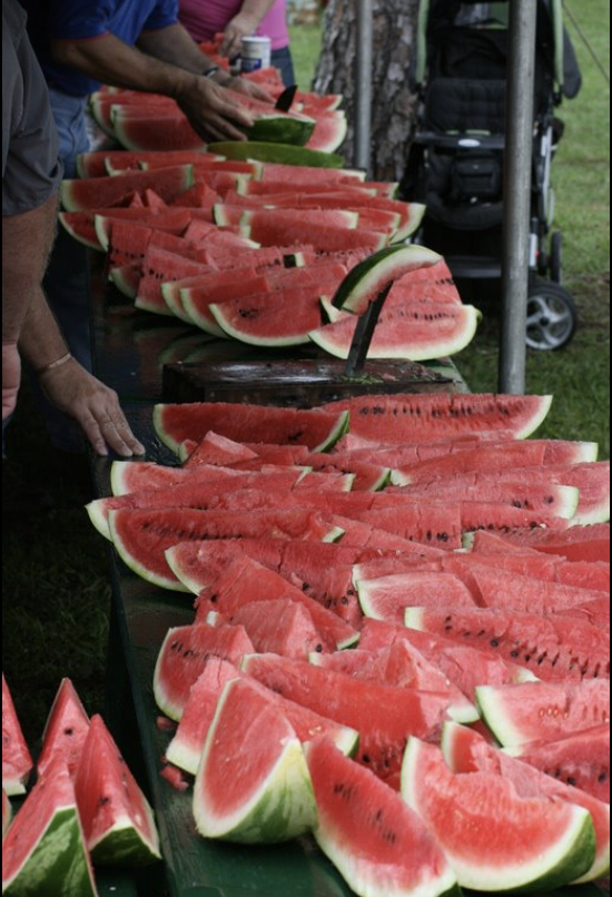 Chiefland Watermelon Festival