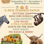 Mayhem Ranch Fall Festival