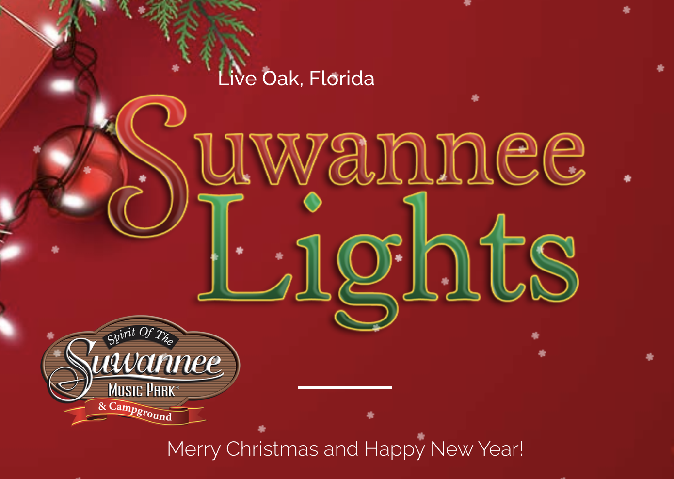 Suwannee Lights