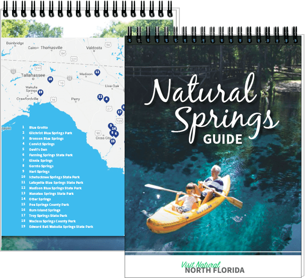 Springs Guide