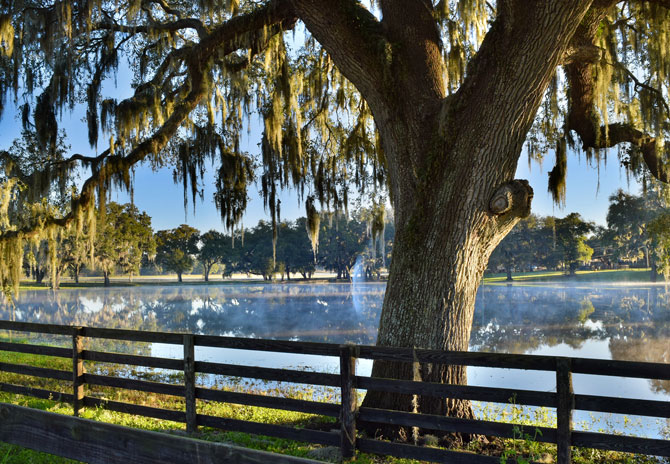 Personals in lake butler fl BDSM Personals in Florida - Online Ads